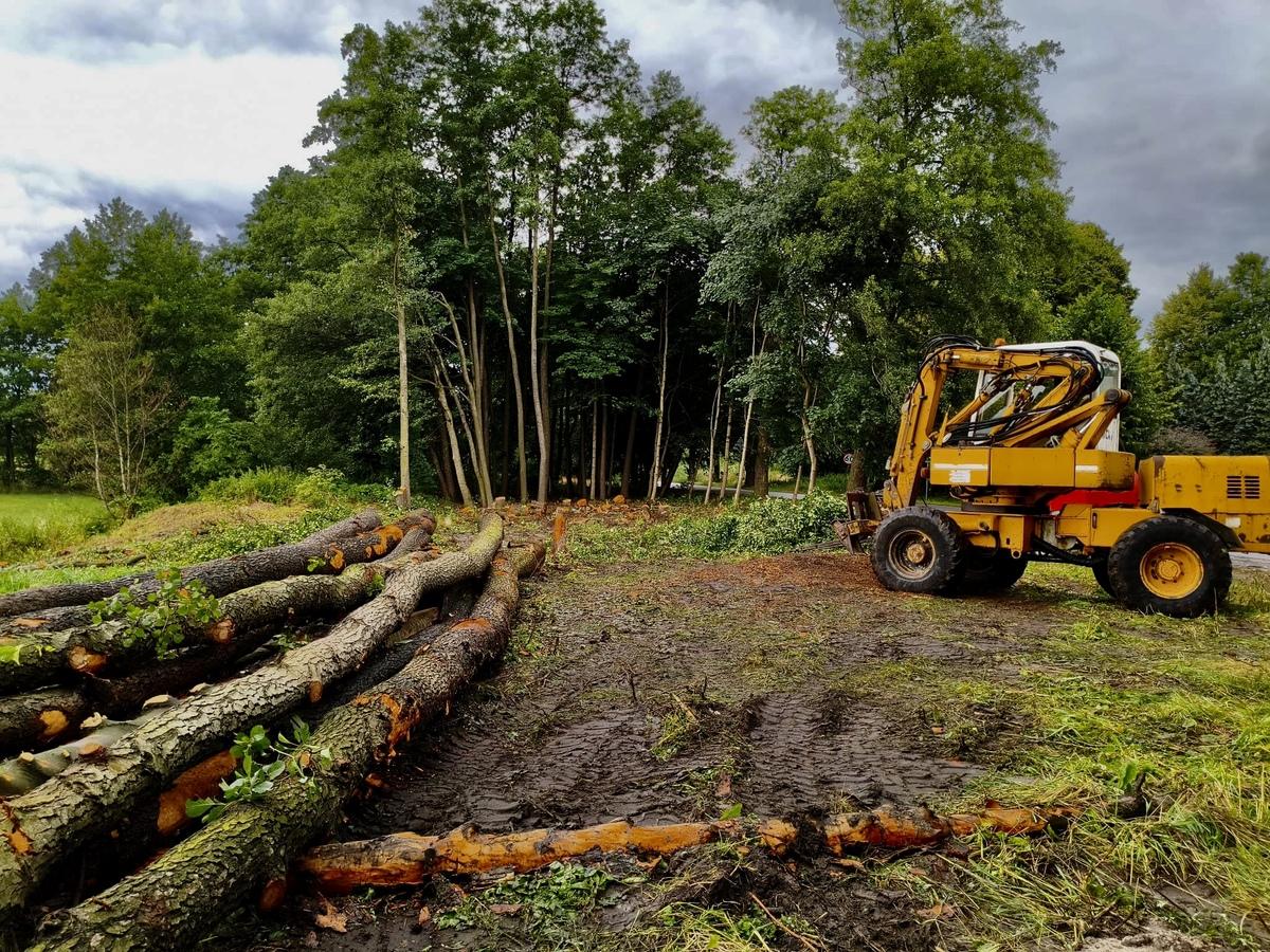 Nasz zespół arborystów przy pracy